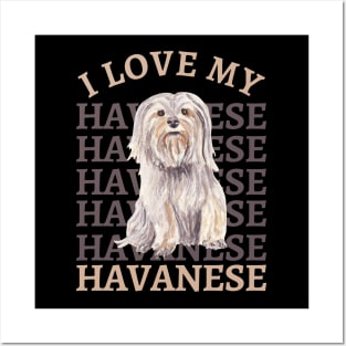 I love my Havanese Life is better with my dogs Dogs I love all the dogs Posters and Art